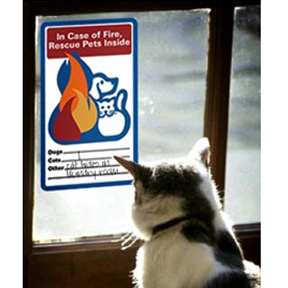 Window Cling